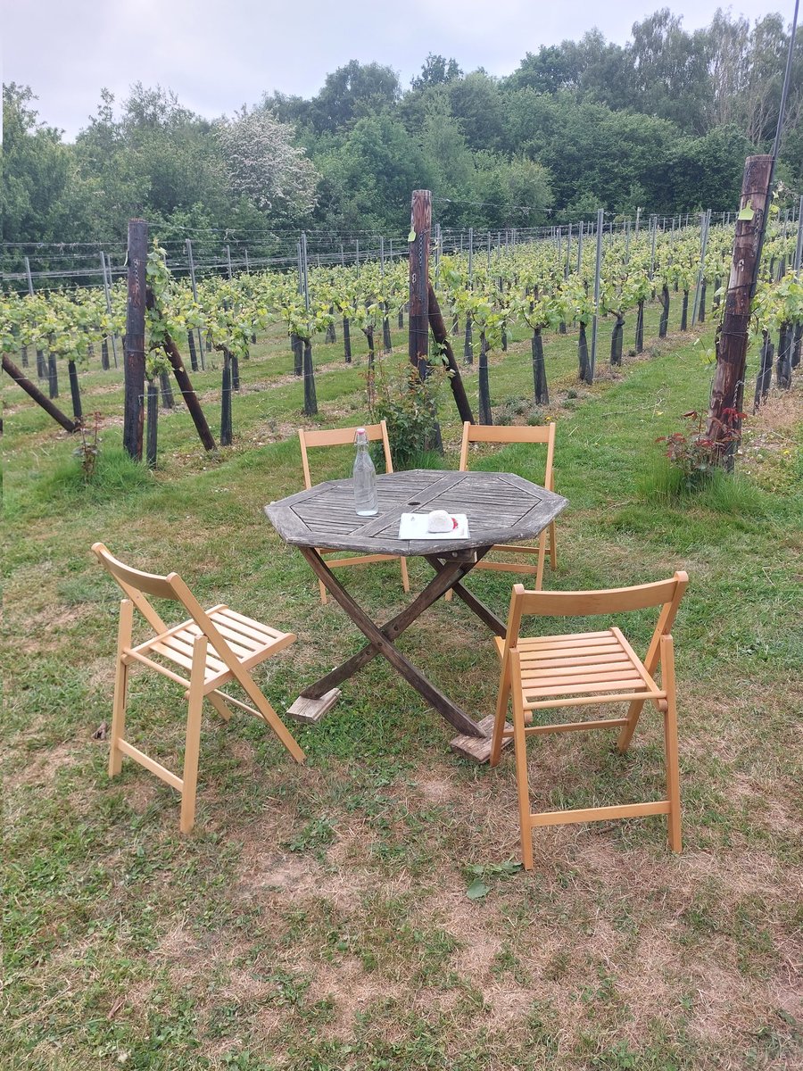 Father's Day is a-coming. Why not book your Dad in for a Tour &amp; Tasting at Wildwood Vineyard. All the details are on our website...or at least buy him some award winning wine to enjoy. #fathersday #wine