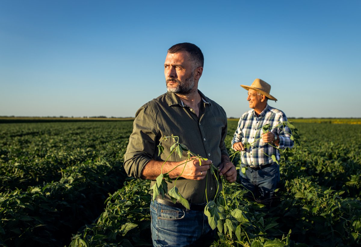 Ons verteenwoordig ons lede – die boere van die Vrystaat – in landboubeleidsake en ander belangrike kwessies, om te verseker dat hul stemme gehoor word en hul belange beskerm bly.

vrystaatlandbou.co.za/af/membership/