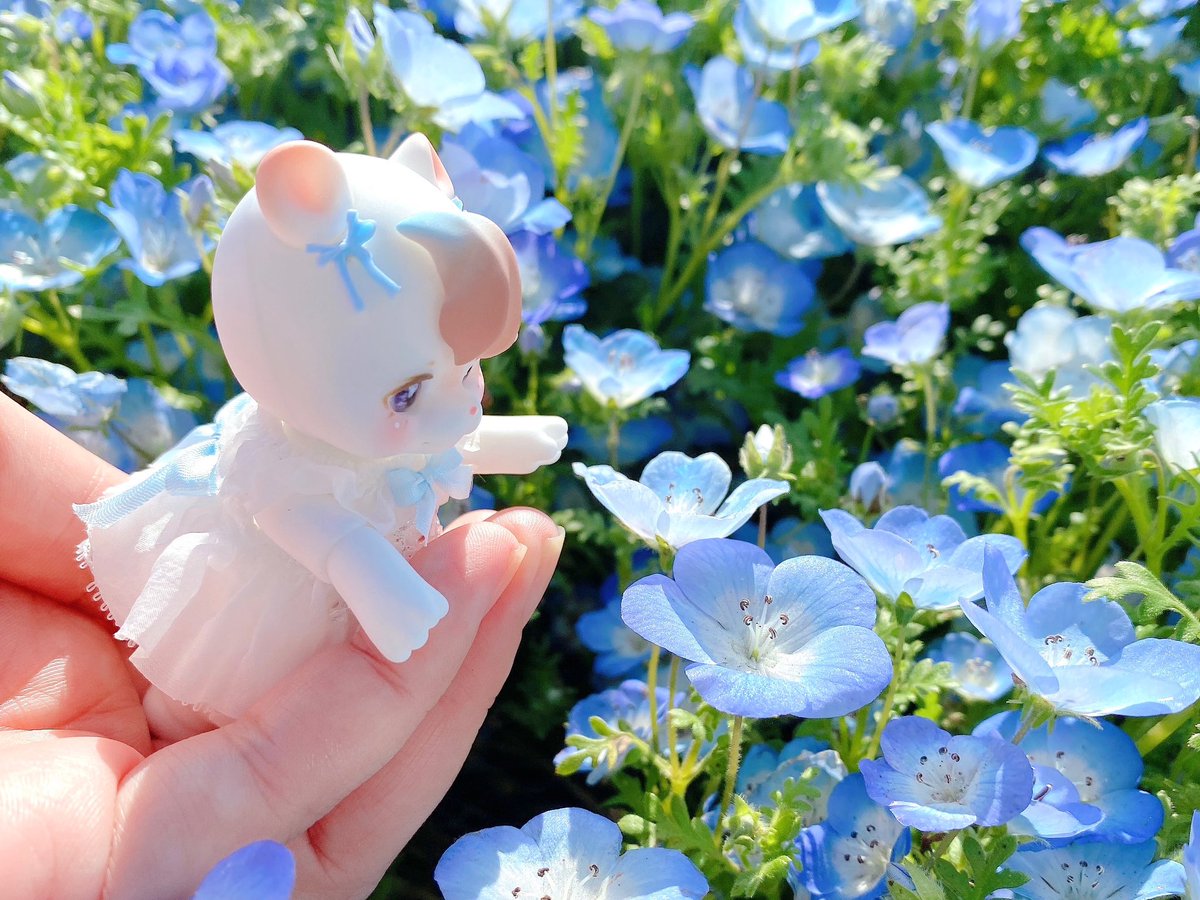 ⸜ ( ၴႅၴ⸝‍ 🩵
 #kumukuku