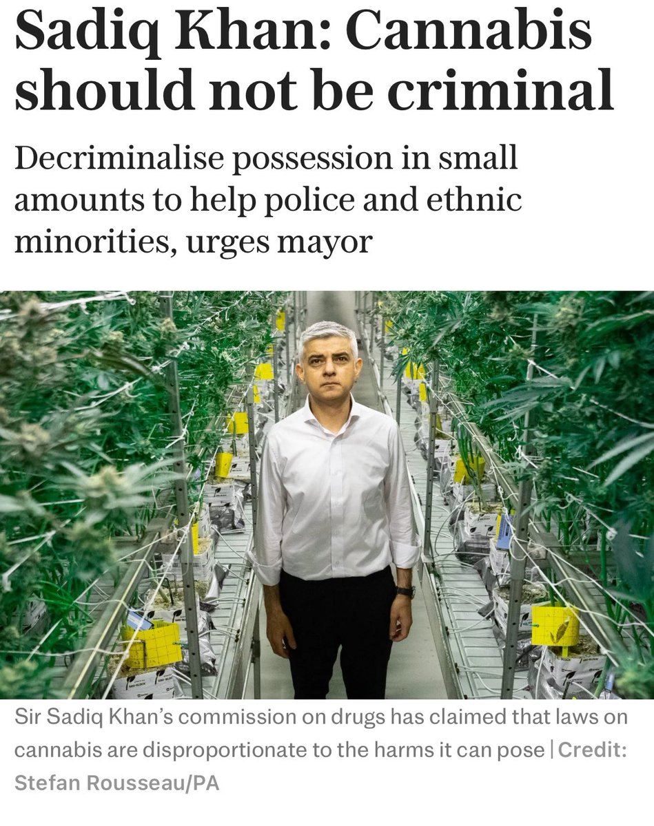 On the streets of London it often smells like Cannabis has already been effectively decriminalised.