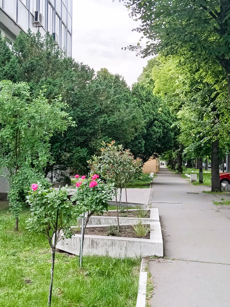 GuberinicSlavko's tweet image. Dobro jutro☕️🥃Sreda je-taman na pola puta do vikenda. Držite se💪✨