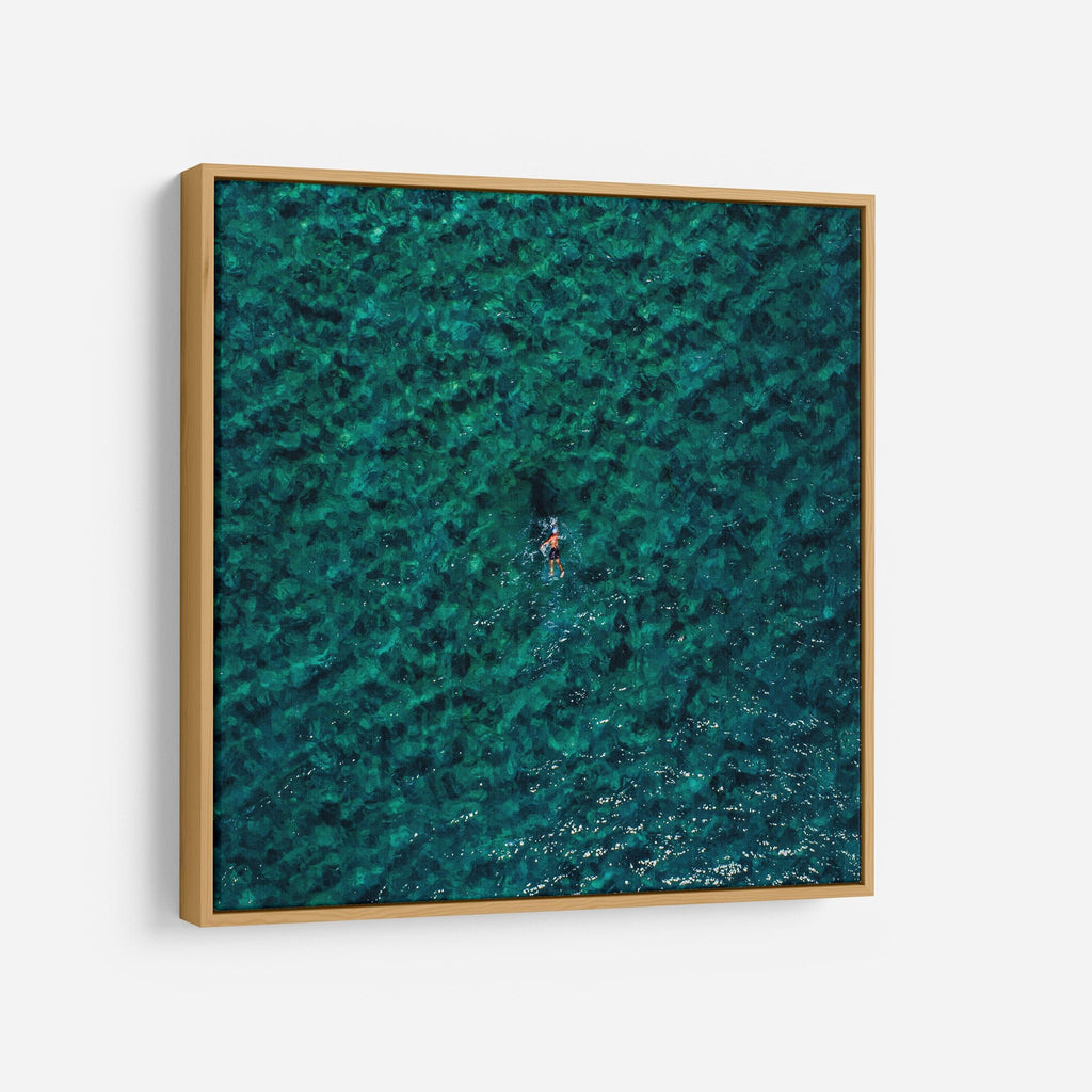 alexkess tweet media