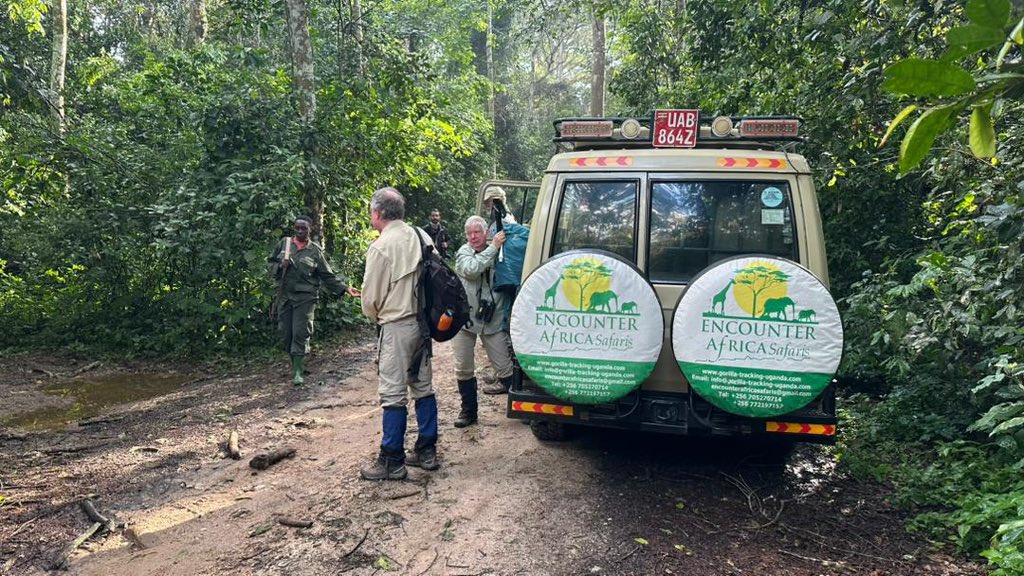 Encounter Africa Safaris (@encounterafric) on Twitter photo Let us guide you through the world of primates in Uganda and Rwanda for an experience that will last a lifetime.
Contact us for more information.
Call:+256 772 197 157
Email: info@gorilla-tracking-uganda.com
#primatesafaris #primatetrekking #ugandasafaris #rwandasafaris Let us guide you through the world of primates in Uganda and Rwanda for an experience that will last a lifetime.
Contact us for more information.
Call:+256 772 197 157
Email: info@gorilla-tracking-uganda.com
#primatesafaris #primatetrekking #ugandasafaris #rwandasafaris