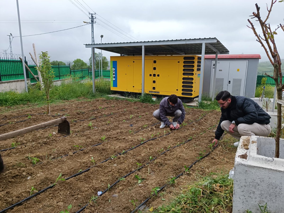 Kavak Yurdumuzda ekim zamanı. Öğrencilerimiz domates, salatalık, biber fidelerini ekip hobi bahçesi oluşturdu.
#GSBYurtları