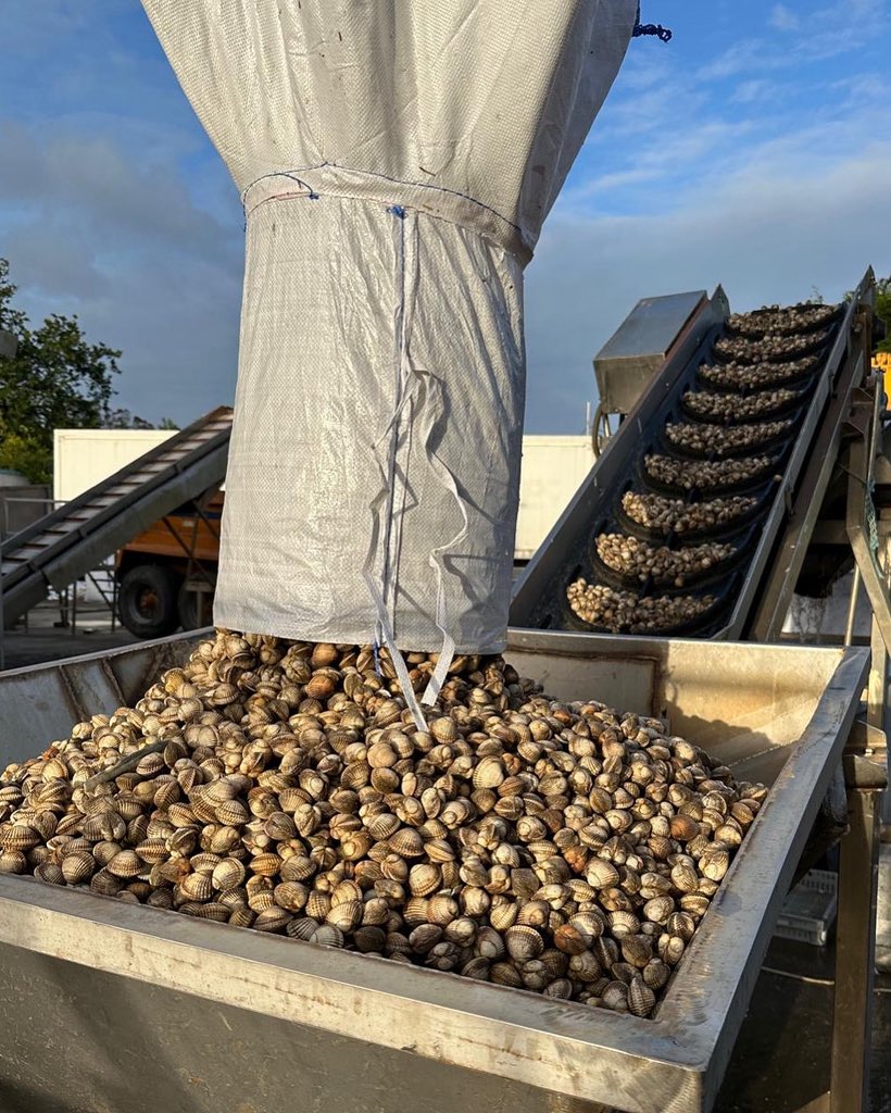 It’s cook day! 🐚
Don’t forget it’s FREE local delivery day tomorrow. 🚚
Kissed by the North Gower tide and cooked by the heart and home of Welsh cockles - Selwyn’s. 💙
Wedi’u cusanu gan lanw Gogledd Gŵyr ac wedi’u coginio gan galon a chartref cocos Cymreig – Selwyn’s 💙