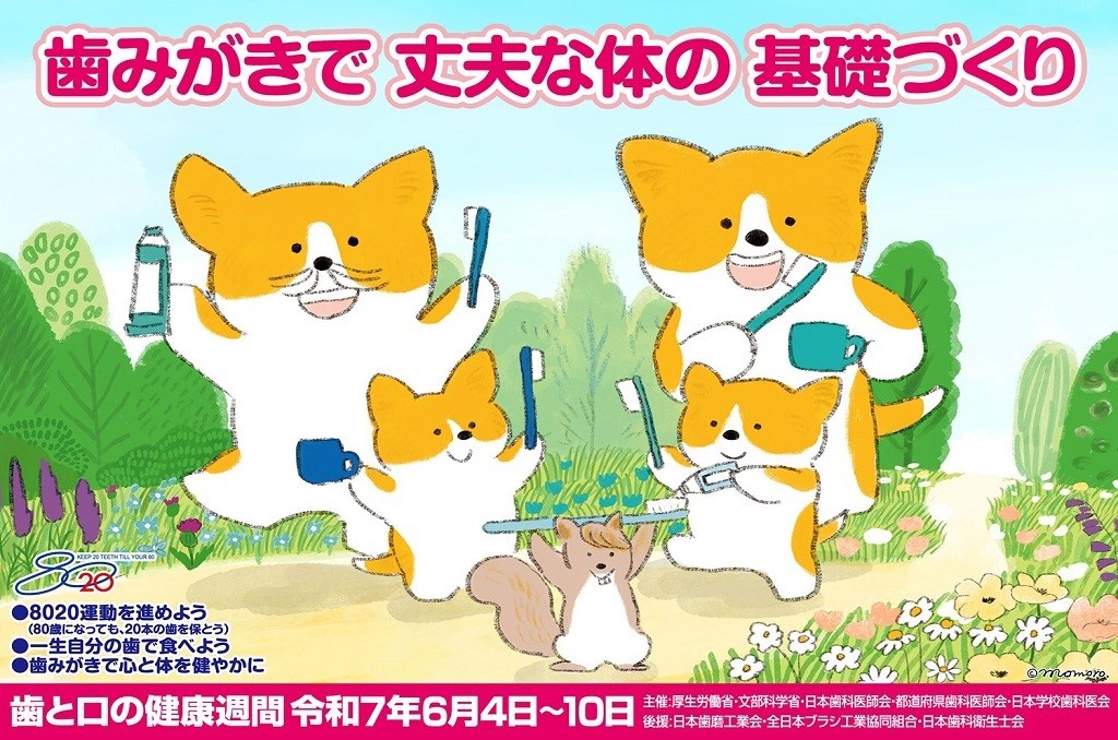 kyotocitykoho's tweet image. ／
６月４日～１０日は「歯🦷と口👄の健康週間」です✨
＼

京都市の歯科健診の対象者を２５歳・３５歳にも拡充‼
２０～７０歳まで５歳ごとに実施中✨

詳細はこちら▼
city.kyoto.lg.jp/hokenfukushi/p…

＃歯科健診 ＃歯周病