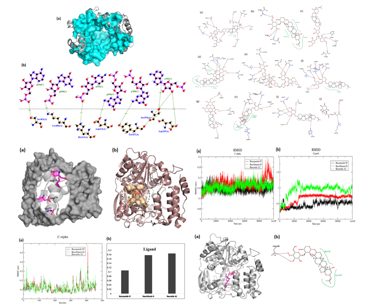 Identifying potential compounds from Bacopa monnieri (brahmi) against coxsackievirus A16 RdRp targeting HFM disease (tomato flu) sciencedirect.com/science/articl………  #MedTwitter #scicomm #MedEd #AcademicTwitter #RNA-Dependent #RNA polymerase #Hand #Foot
