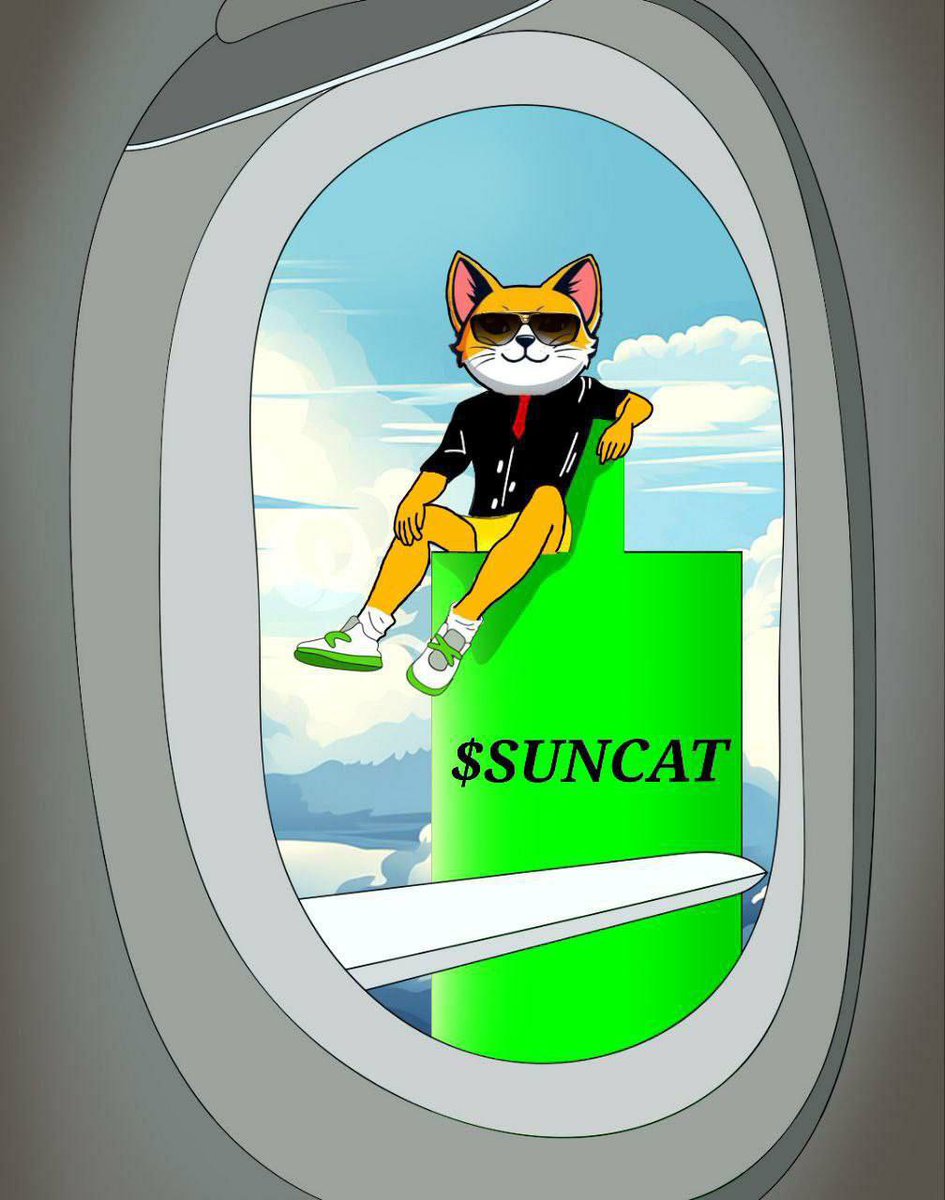 Suncat tweet media