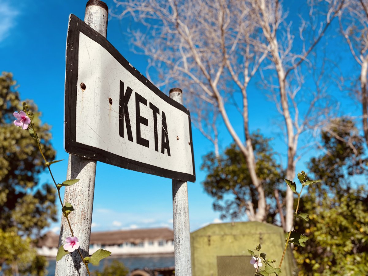 Torgbuigà tweet media