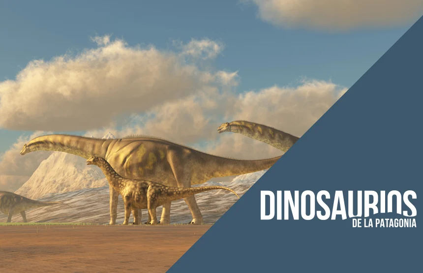 A lo mejor estás buscando algo que hacer mañana (29Mayo) en Zaragoza, pues:
Conferencia. "Era de titanes: los dinosaurios saurópodos de la península ibérica" caixaforum.org/es/zaragoza/p/…