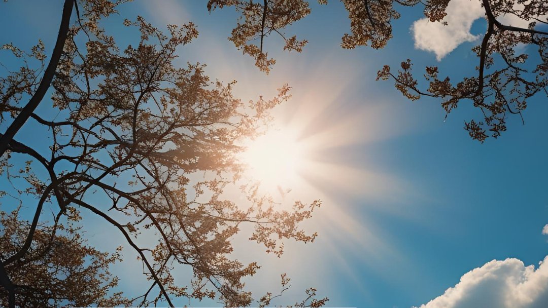 Kirchenkreis Neukölln (@kkneukoelln) on Twitter photo Nicht wo der Himmel ist, ist Gott, sondern wo Gott ist, ist der Himmel.
Unter Platanen, Open-Air mit Grillen, mit Posaunenchor und Dudelsack: Hier findet ihr unsere Gottesdienste zu Himmelfahrt. Feiert mit uns!
neukoelln-evangelisch.de/b/himmelfahrt-…
<a href="/TspLeute/">Tagesspiegel Bezirke</a> <a href="/morgenpost/">Berliner Morgenpost</a> <a href="/FacettenMagazin/">FACETTEN Neukölln</a> Nicht wo der Himmel ist, ist Gott, sondern wo Gott ist, ist der Himmel.
Unter Platanen, Open-Air mit Grillen, mit Posaunenchor und Dudelsack: Hier findet ihr unsere Gottesdienste zu Himmelfahrt. Feiert mit uns!
neukoelln-evangelisch.de/b/himmelfahrt-…
<a href="/TspLeute/">Tagesspiegel Bezirke</a> <a href="/morgenpost/">Berliner Morgenpost</a> <a href="/FacettenMagazin/">FACETTEN Neukölln</a>