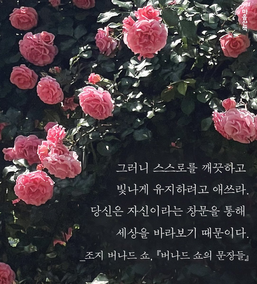 “그러니 스스로를 깨끗하고 빛나게 유지하려고 애쓰라. 당신은 자신이라는 창문을 통해 세상을 바라보기 때문이다.”

_조지 버나드 쇼, 『버나드 쇼의 문장들』