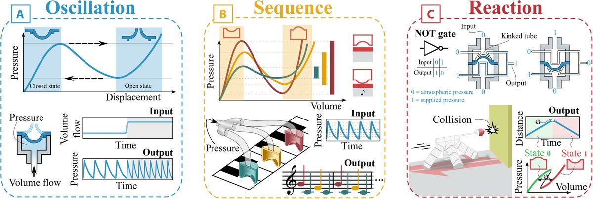 #SoftRobots that can generate spontaneous rhythms, use them to coordinate sequential movements, and react to stimuli from their surroundings could bridge the gap between living beings and #machines, suggests a new Science #Robotics 
scim.ag/3Sg7Zto
via <a href="/SciRobotics/">Science Robotics</a>