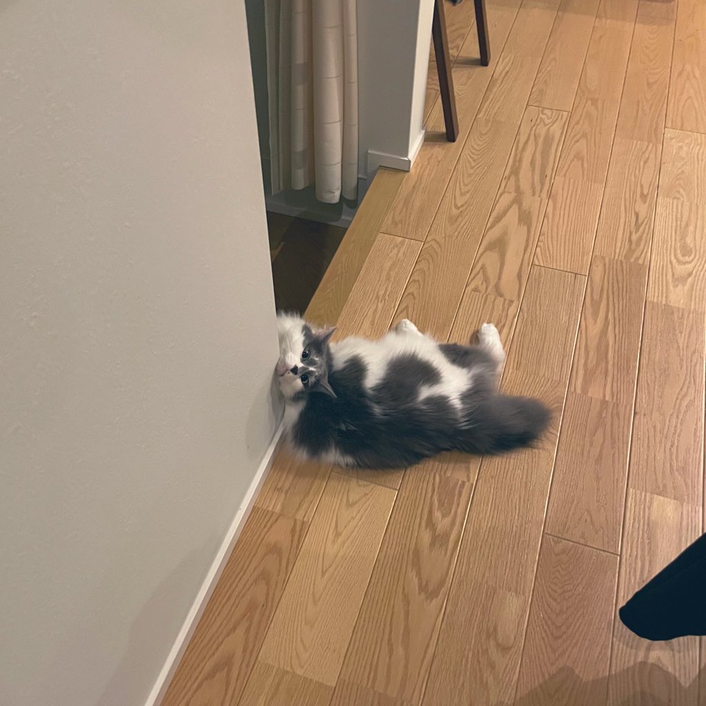 ややや tweet media