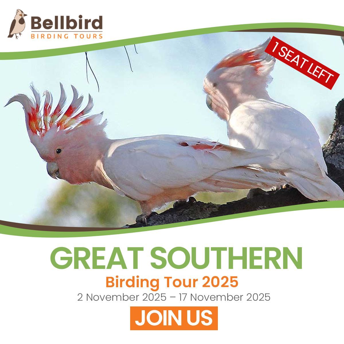 BirdsTours's tweet photo. 1 Seat Left!
Great Southern Birding Tour 2025
Adelaide, SA → Melbourne, VIC
2–17 November 2025 | 14 days

Don’t miss your chance to join this epic birding adventure—only 1 spot remaining!

🔗 Book now before it’s gone! https://t.co/rkdwxD0UCt https://t.co/xSqqClEI9g