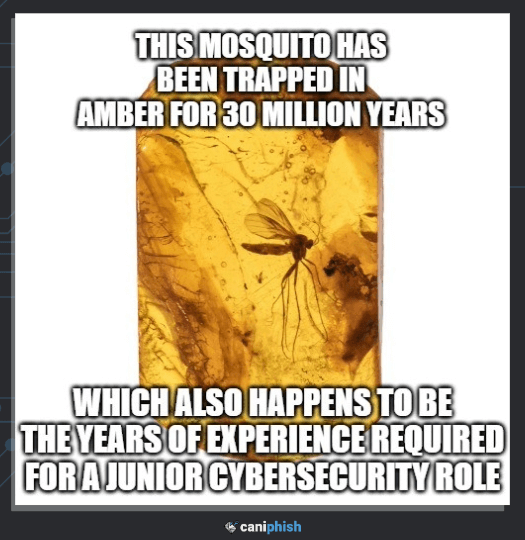 Pic of the Day

#infosec #cybersecurity #cybersecuritytips #pentesting #cybersecurityawareness #informationsecurity