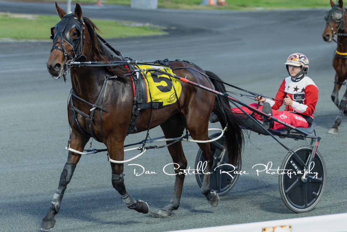 Dan Costello (@danracingwrap) on Twitter photo <a href="/taleahmcmullen/">Taleah McMullen</a> chalks up her 600th career win in winning Heat 13 2025 Trot Rods <a href="/redcliffe_hrc/">Redcliffe Harness Racing Club</a> for trainer <a href="/DwyerGraham/">Graham Dwyer</a> ...Onya Taleah <a href="/taleahmcmullen/">Taleah McMullen</a> chalks up her 600th career win in winning Heat 13 2025 Trot Rods <a href="/redcliffe_hrc/">Redcliffe Harness Racing Club</a> for trainer <a href="/DwyerGraham/">Graham Dwyer</a> ...Onya Taleah