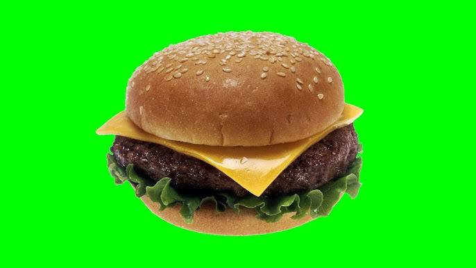 TheShamdoo's tweet photo. happy national burger day https://t.co/IwVUmMffV3