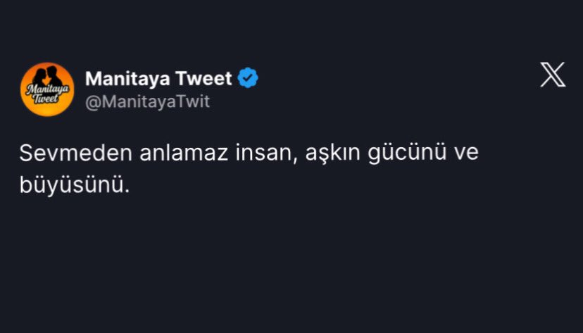 Sevmeden anlamaz insan.