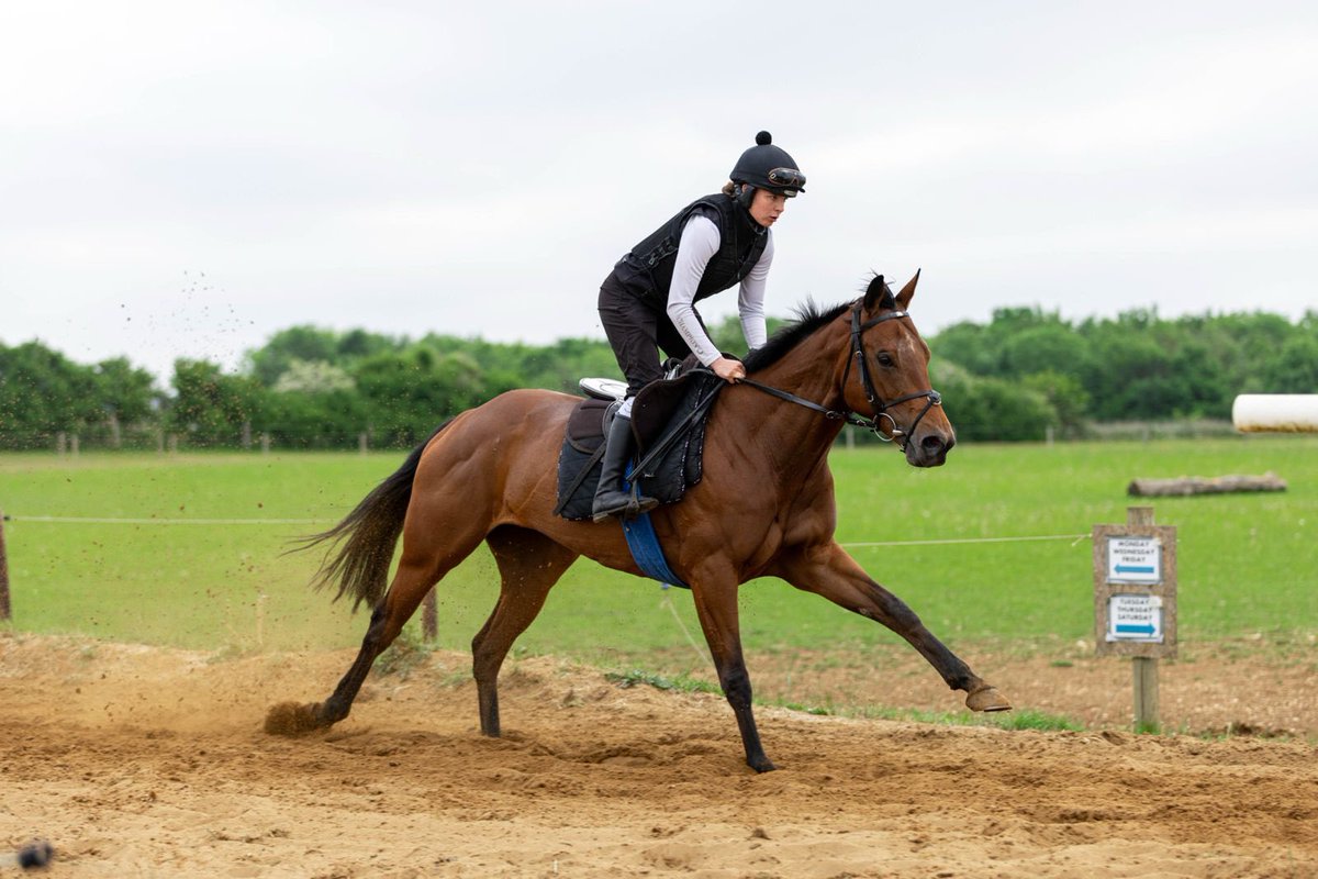 Fergal O'Brien Racing (@fobracing) on Twitter photo Only 6 3/4 lengths behind a ยฃ300K purchase last time out
And thereโs only one share left in Never Told Me so donโt procrastinate
Contact <a href="/DevaRacing_/">Deva Racing</a> for details Only 6 3/4 lengths behind a ยฃ300K purchase last time out
And thereโs only one share left in Never Told Me so donโt procrastinate
Contact <a href="/DevaRacing_/">Deva Racing</a> for details