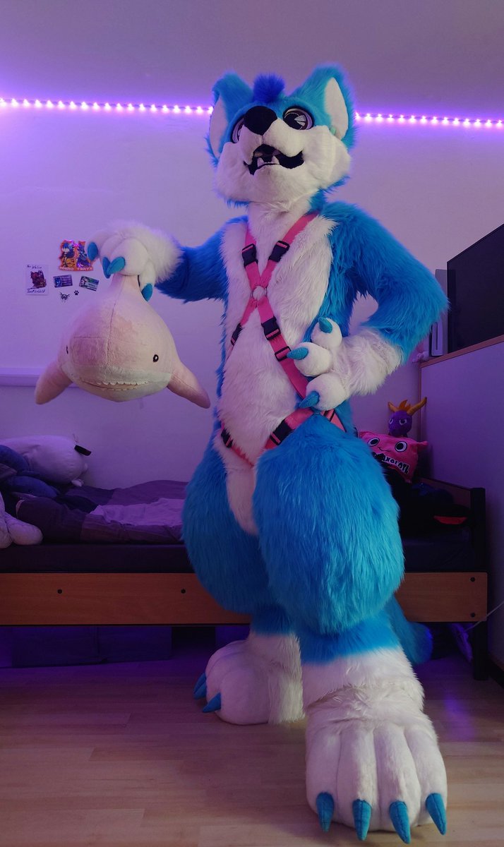 Never Never hold blahaj on his antenna 🤭💖💖