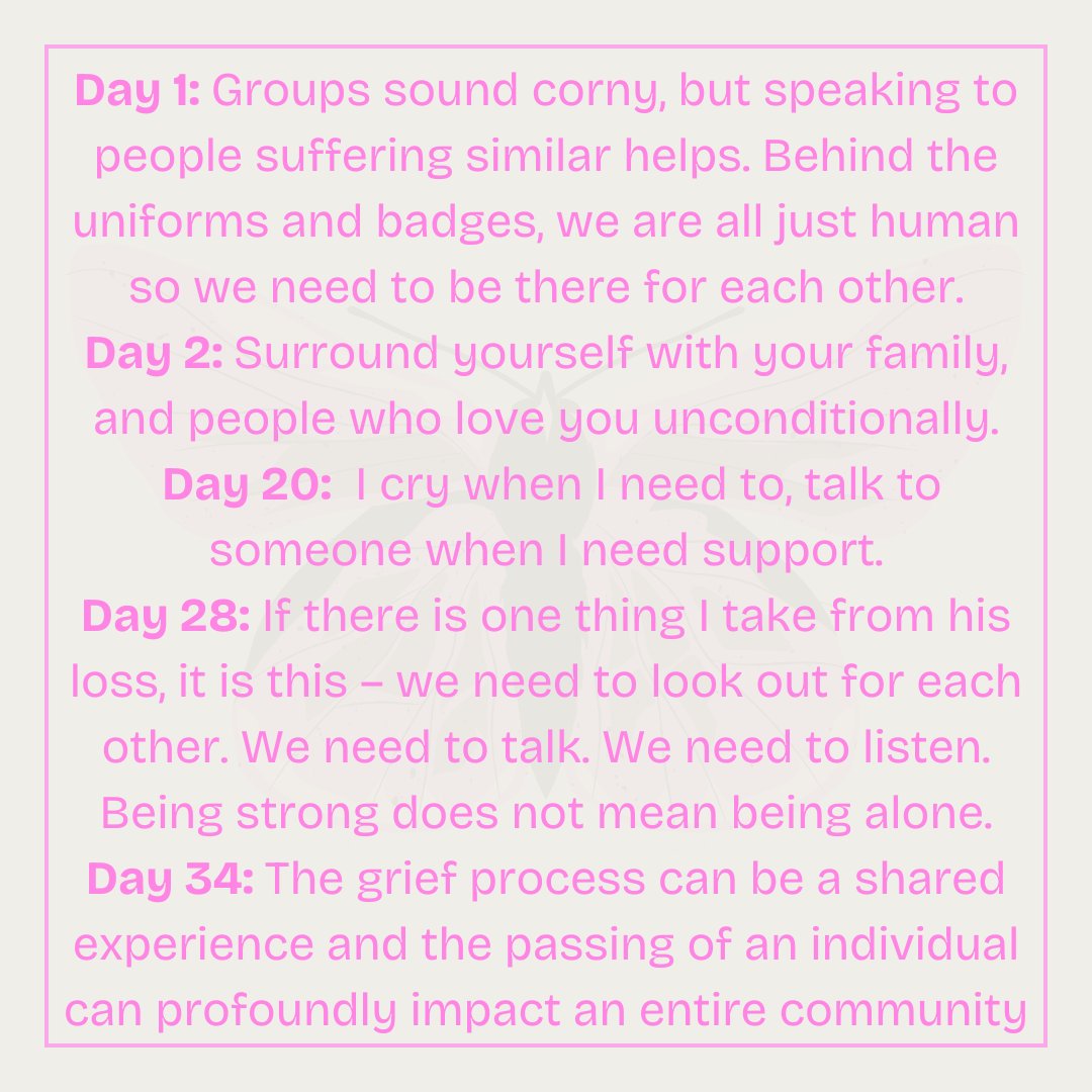 The 100 Word Project tweet media