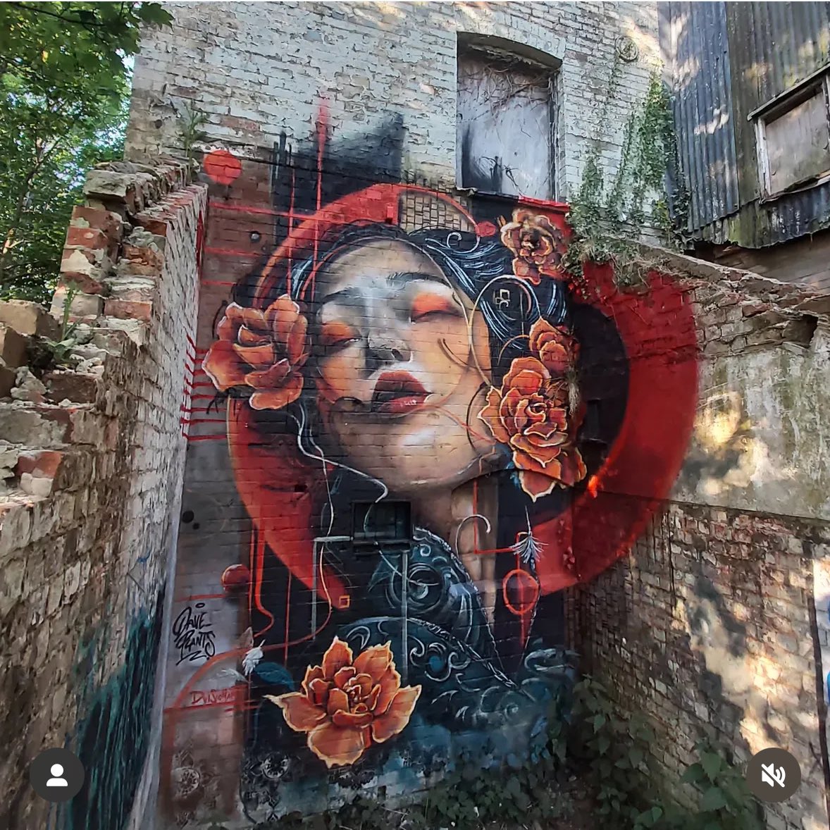 “Spring Roll”

#StreetArt by Dave Plants
In #Sussex #UK