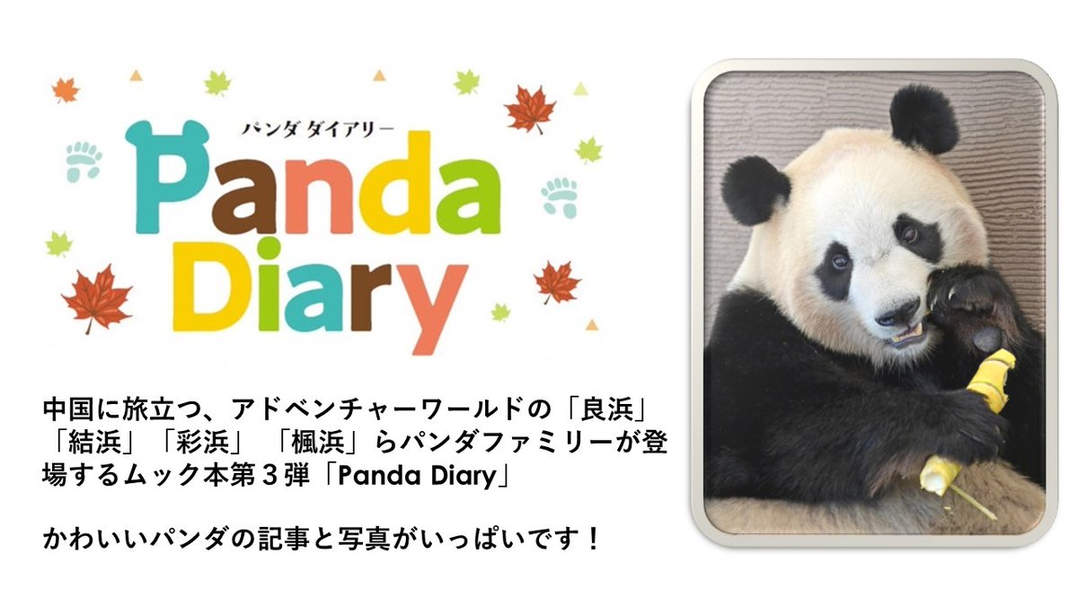 ムック本「パンダダイアリー」のクラウドファンディングがスタート！楓 