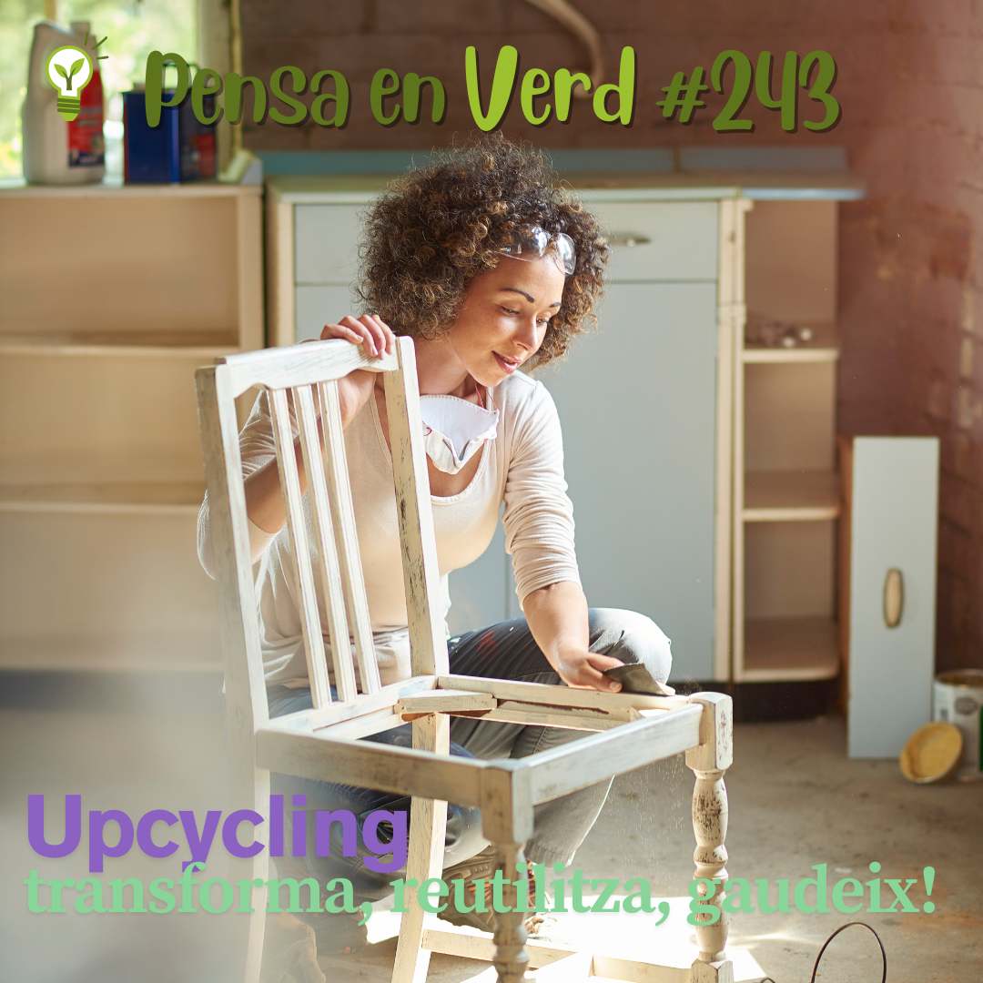 trsmediambient's tweet image. ♻️ Upcycling: dóna nova vida als mobles vells!
🌿 Redueix residus i consum d’energia.
🌿 Fomenta la creativitat i estalvia diners.
#PensaEnVerd #Upcycling #Reutilitza