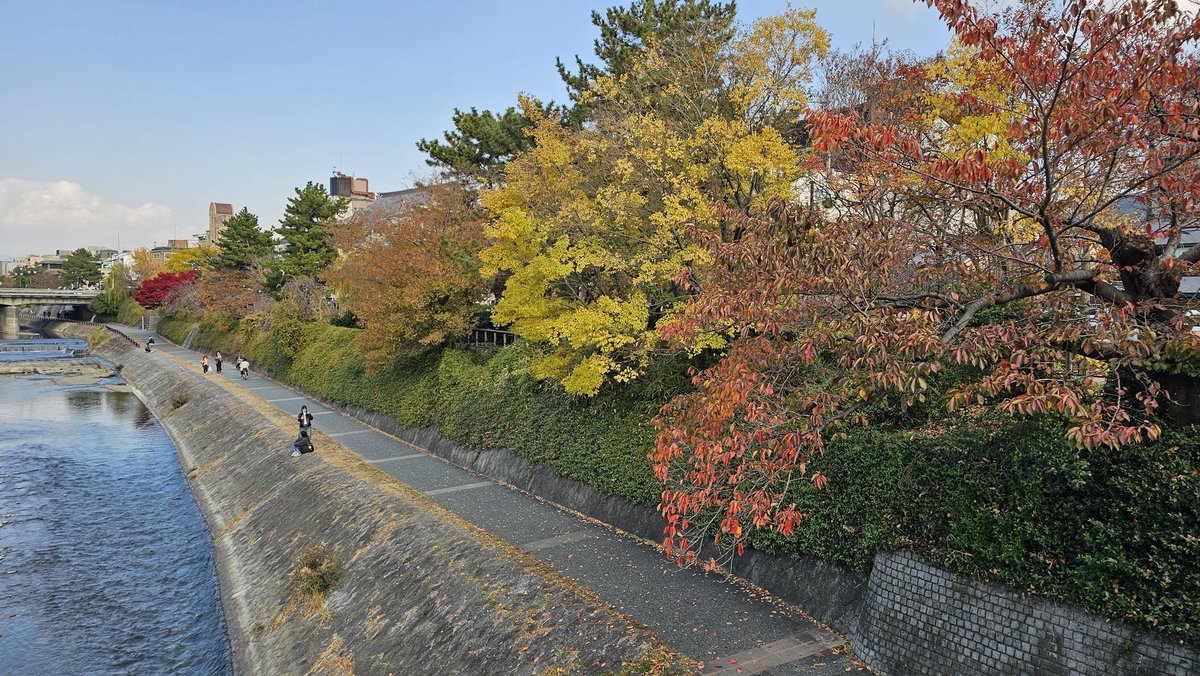 Coucou la team, je vous souhaite une très belle journée !