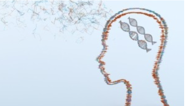 Paolo Martelletti (@p_martelletti) on Twitter photo A new Thematic Series has just been launched in The Journal of Headache and Pain
The Epigenome and Transcriptome in Headache Disorders
Edited by Michał Fila & Wei Wang
Submission Deadline: 28 February 2026 biomedcentral.com/collections/TE… A new Thematic Series has just been launched in The Journal of Headache and Pain
The Epigenome and Transcriptome in Headache Disorders
Edited by Michał Fila & Wei Wang
Submission Deadline: 28 February 2026 biomedcentral.com/collections/TE…