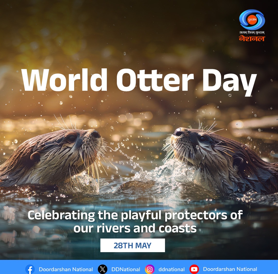 Otters are a vital part of healthy aquatic ecosystems - but many species are threatened by habitat loss and pollution.

This World Otter Day, let’s raise awareness and protect these incredible animals.

#WorldOtterDay #OtterConservation #ProtectWildlife