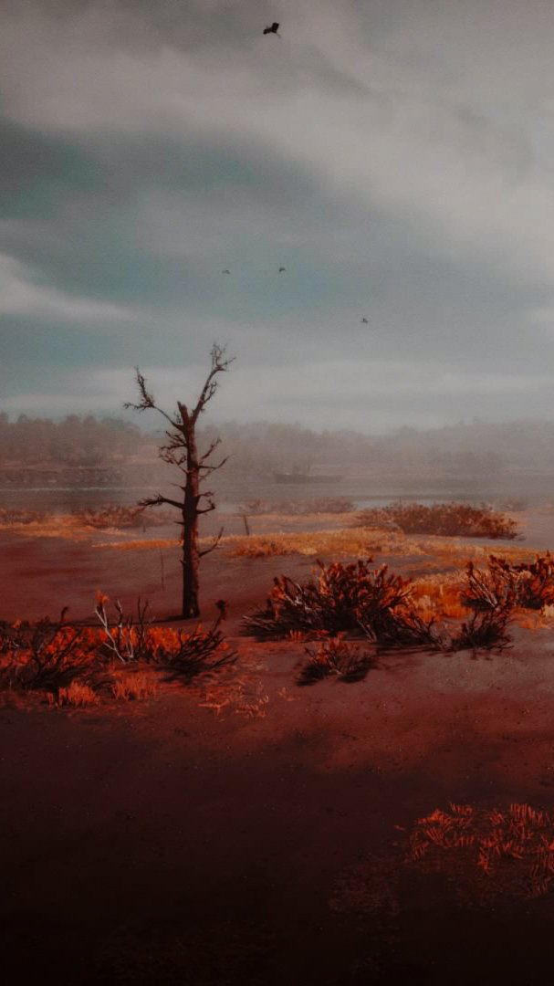 #RedDeadRedemption2
#WWWednesday