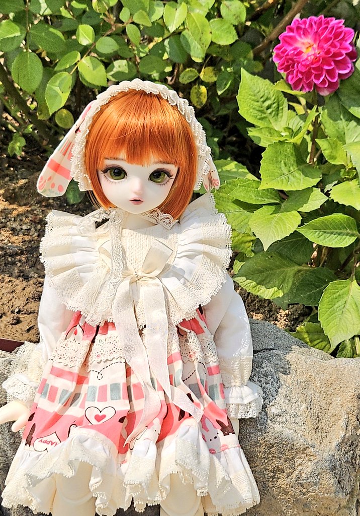 <a href="/mangom_doll/">인놀망곰</a> 강한 자연광에게 지고말았지만😭😭😭🌸🌿
그래두 즐거웠어요💕💕