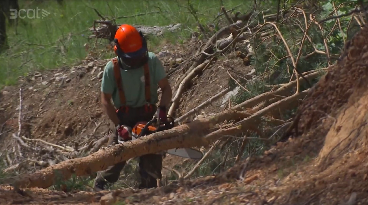A la Vall de Lord, ATL adquireix 107 #CreditsClimatics per a gestionar un centenar d'hectàrees i compensar una part de les tones de CO2 emeses l'any passat !
<a href="/cpforestal/">CPF</a>, <a href="/agriculturacat/">Agricultura</a> #OCCC <a href="/tcerver/">teresa cervera</a> <a href="/igilijauregui/">Iñaki Gili Jauregui</a> 
🌐 creditsclimaticsforestals.cat
📺 @3cat: shorturl.at/jmnLA