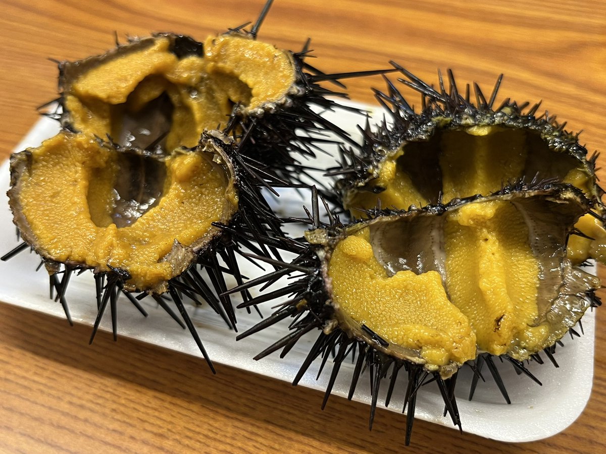 CXOBANK's tweet image. 待ちに待った雲丹旅。ここは宮城県仙台。みこグループでこの時期大量に仕入れている片倉商店が運営するミョウバン無添加ムラサキウニを食べに。生ウニと海鮮御膳2,300円+殻付きウニ2個840円を注文し豪快に雲丹を堪能。箱ウニよりもそのまま食べる殻付きウニのほうが素材自体のやや苦味あり。見た目では…