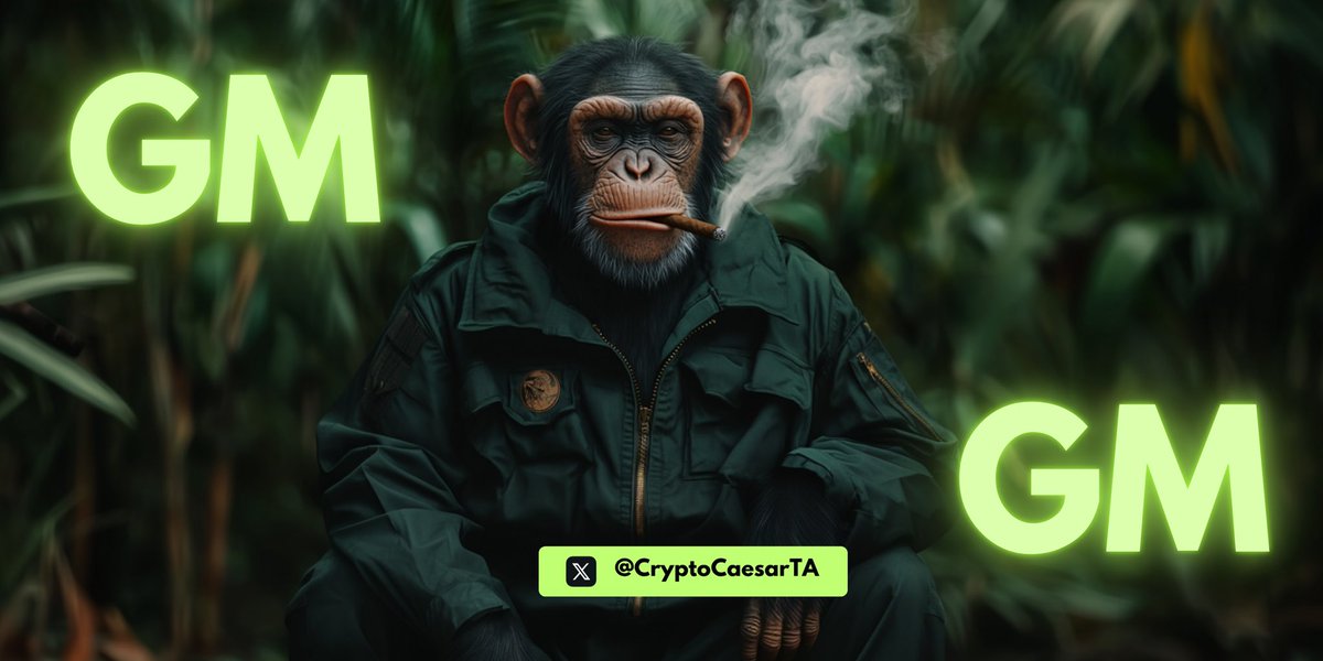 Crypto Caesar tweet media