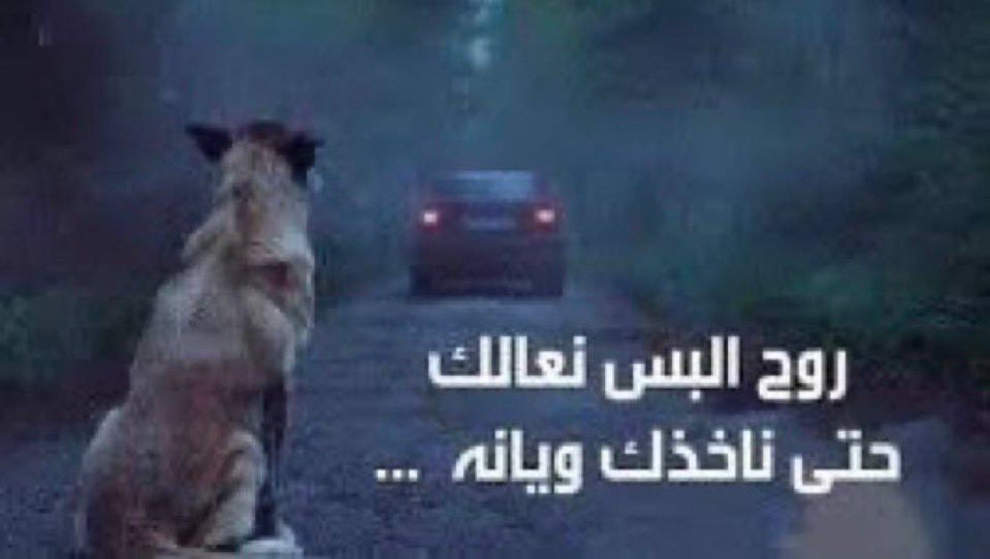 5aled tweet media