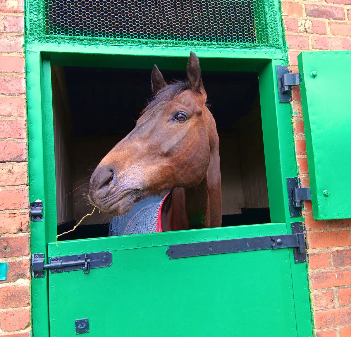 Coral Racing Club (@crcofficial) on Twitter photo ๐๐โ๐ซ๐ ๐ก๐๐๐๐ข๐ง๐ ๐ง๐จ๐ซ๐ญ๐ก ๐จ๐ ๐ญ๐ก๐ ๐๐จ๐ซ๐๐๐ซ! ๐ด๓ ง๓ ข๓ ณ๓ ฃ๓ ด๓ ฟ
Pop Star makes his second start for the Coral Racing Club in the 4:00 at Hamilton with <a href="/ONaillers2010/">Kieran O Neill</a> in the saddle ๐
Best of luck to his ๐ owners for the day as well as all the team at <a href="/ahaynesracing/">Alice Haynes Racing</a> ๐ตโช๏ธ ๐๐โ๐ซ๐ ๐ก๐๐๐๐ข๐ง๐ ๐ง๐จ๐ซ๐ญ๐ก ๐จ๐ ๐ญ๐ก๐ ๐๐จ๐ซ๐๐๐ซ! ๐ด๓ ง๓ ข๓ ณ๓ ฃ๓ ด๓ ฟ
Pop Star makes his second start for the Coral Racing Club in the 4:00 at Hamilton with <a href="/ONaillers2010/">Kieran O Neill</a> in the saddle ๐
Best of luck to his ๐ owners for the day as well as all the team at <a href="/ahaynesracing/">Alice Haynes Racing</a> ๐ตโช๏ธ