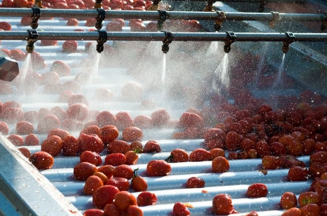 EBRD Green (@ebrdgreen) on Twitter photo The southern part of Ukraine is known as the planet’s "tomato belt". It's also the home of Evrika, a vegetable-growing company. W/ <a href="/EBRD/">The EBRD</a> & <a href="/eu_enlargement_/">EU Enlargement & Eastern Neighbourhood 🇪🇺</a> <a href="/EUDelegationUA/">EU in Ukraine</a> support, Evrika has cut energy costs while maintaining production volumes in wartime.ebrd.com/home/news-and-… The southern part of Ukraine is known as the planet’s "tomato belt". It's also the home of Evrika, a vegetable-growing company. W/ <a href="/EBRD/">The EBRD</a> & <a href="/eu_enlargement_/">EU Enlargement & Eastern Neighbourhood 🇪🇺</a> <a href="/EUDelegationUA/">EU in Ukraine</a> support, Evrika has cut energy costs while maintaining production volumes in wartime.ebrd.com/home/news-and-…