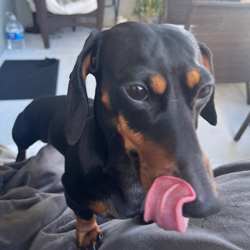 Tastes like a breakout is coming.📈