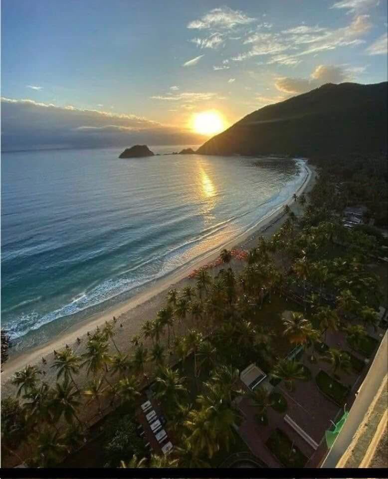 Gianluca Cocconcelli Cavalli (@gianlucacoccon1) on Twitter photo Espectacular amanecer
BAHÍA DE CATA Edo Aragua
🇻🇪🇻🇪🇻🇪🇻🇪🇻🇪🇻🇪🇻🇪🇻🇪🇻🇪🇻🇪🇻🇪
<a href="/venezuelaenfoto/">Venezuela en Foto</a> Espectacular amanecer
BAHÍA DE CATA Edo Aragua
🇻🇪🇻🇪🇻🇪🇻🇪🇻🇪🇻🇪🇻🇪🇻🇪🇻🇪🇻🇪🇻🇪
<a href="/venezuelaenfoto/">Venezuela en Foto</a>