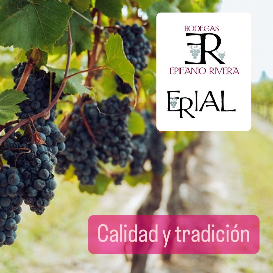 BODEGAS EPIFANIO RIVERA
Valladolid tierra de buen vino, y como no podia faltar un buen caldo en cada comida, para ello la bodega de Epifanio Rivera con su variedad de vinos hará las delicias de los paladares mas exquisitos.
#balonmano #balonmanoveterano #balonmanovalladolid