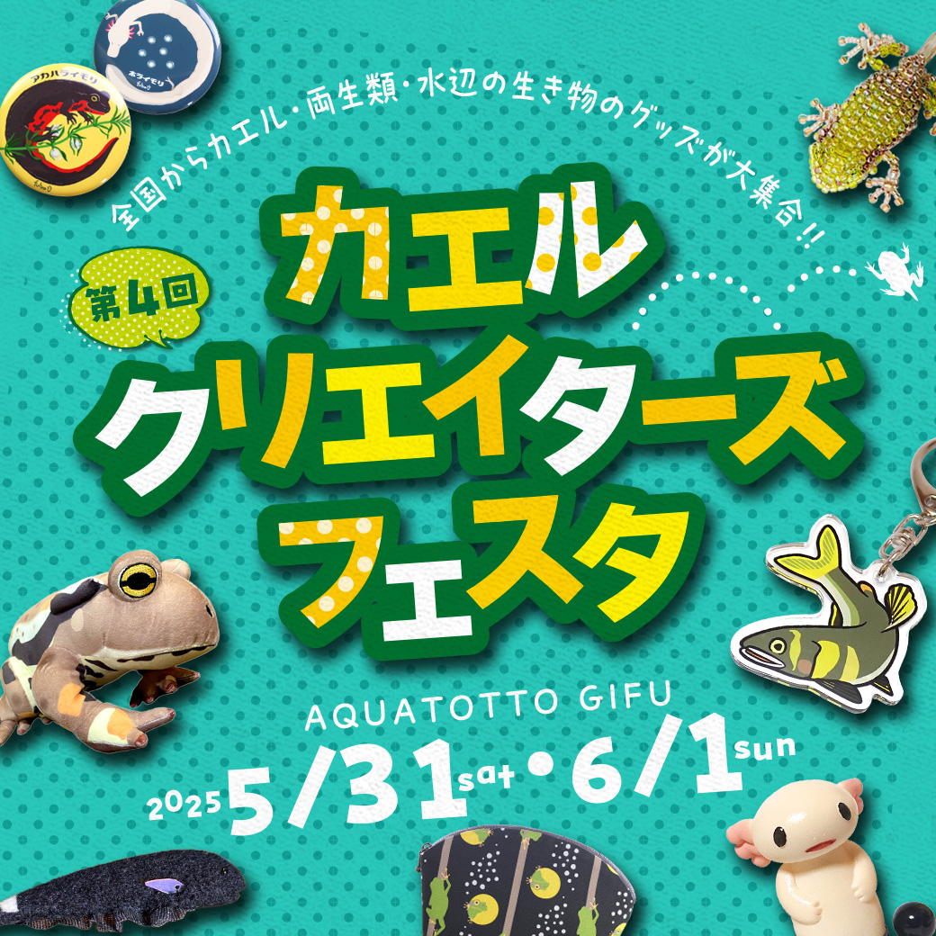 第4回カエルクリエイターズフェスタは、いよいよ今週末開催です！昨年より規模を拡大して開催いたします！【展ス】aquatotto.com/event/schedule…