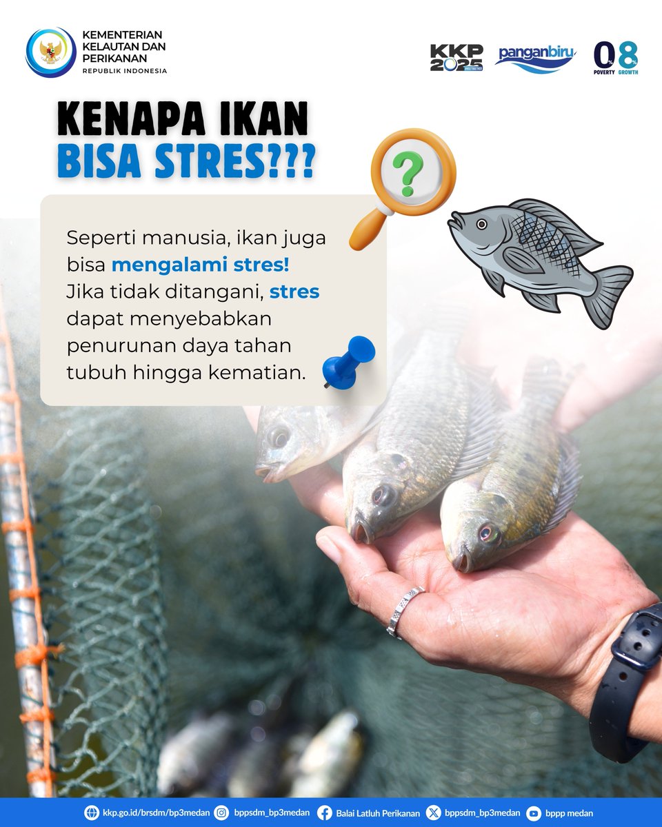 BPPSDM BPPP Medan tweet media