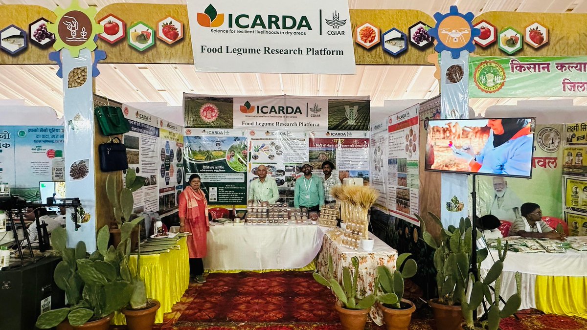 Dr. Neha Tiwari (@drnehatiwari4) on Twitter photo Innovations and advancement in cactus, pulses, and cereals by <a href="/ICARDA/">ICARDA</a> were featured at Krishi Udyog Samagam (26–28 May 2025) in Narsinghpur, MP—graced by the Hon’ble Vice President of India, Governor & CM of Madhya Pradesh.
<a href="/DoLR_MoRD/">Department of Land Resources, GOI</a>
<a href="/ShivKAgrawal/">Shiv Agrawal</a> <a href="/icarindia/">Indian Council of Agricultural Research.</a> <a href="/BaumBCI/">Michael Baum</a> <a href="/Amitdur/">Amit Gautam</a> Innovations and advancement in cactus, pulses, and cereals by <a href="/ICARDA/">ICARDA</a> were featured at Krishi Udyog Samagam (26–28 May 2025) in Narsinghpur, MP—graced by the Hon’ble Vice President of India, Governor & CM of Madhya Pradesh.
<a href="/DoLR_MoRD/">Department of Land Resources, GOI</a>
<a href="/ShivKAgrawal/">Shiv Agrawal</a> <a href="/icarindia/">Indian Council of Agricultural Research.</a> <a href="/BaumBCI/">Michael Baum</a> <a href="/Amitdur/">Amit Gautam</a>