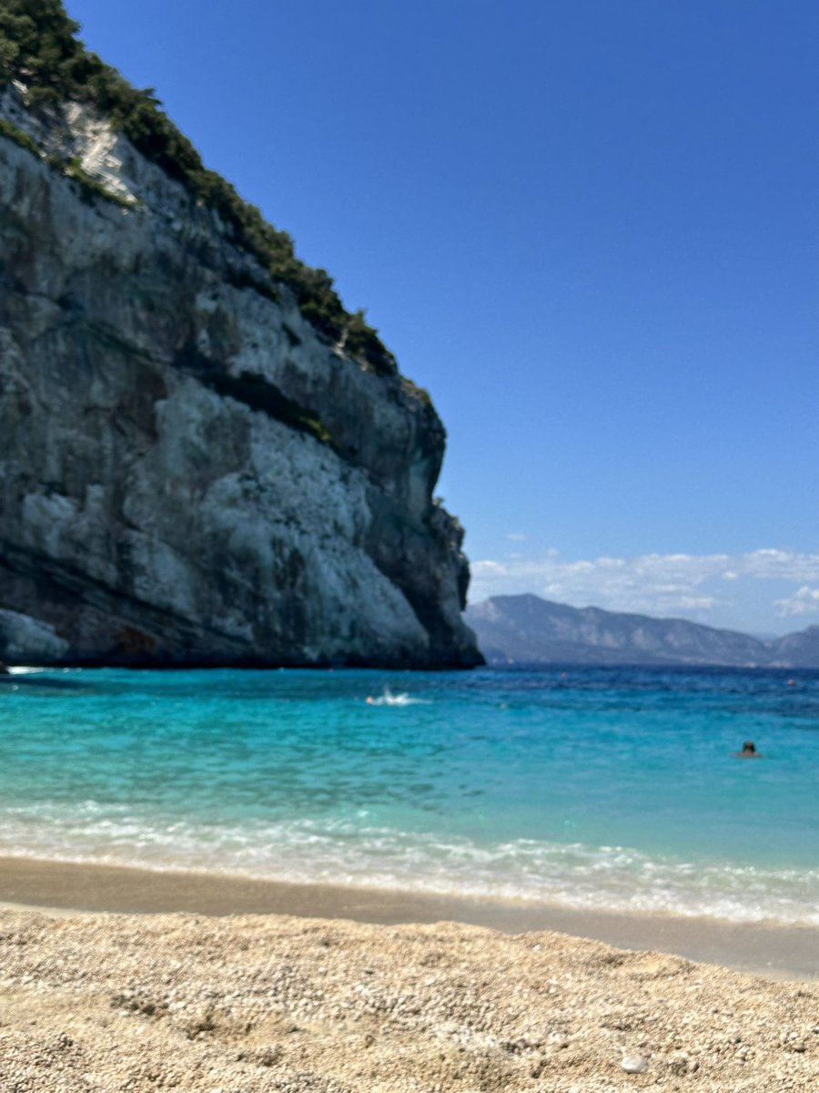 Bagheera ~ skelbraz tweet media