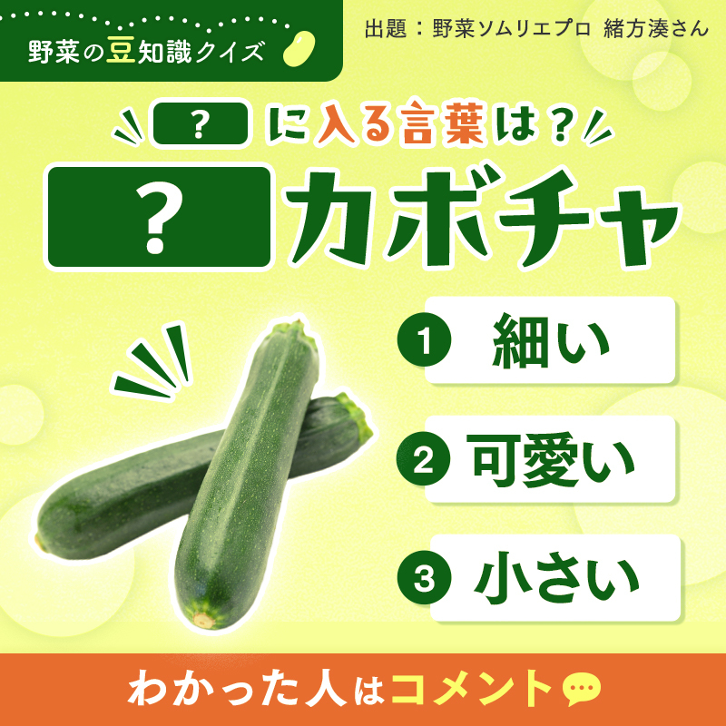 突然ですが…#野菜の豆知識 クイズ🥒 ＼ ズッキーニはイタリア語の