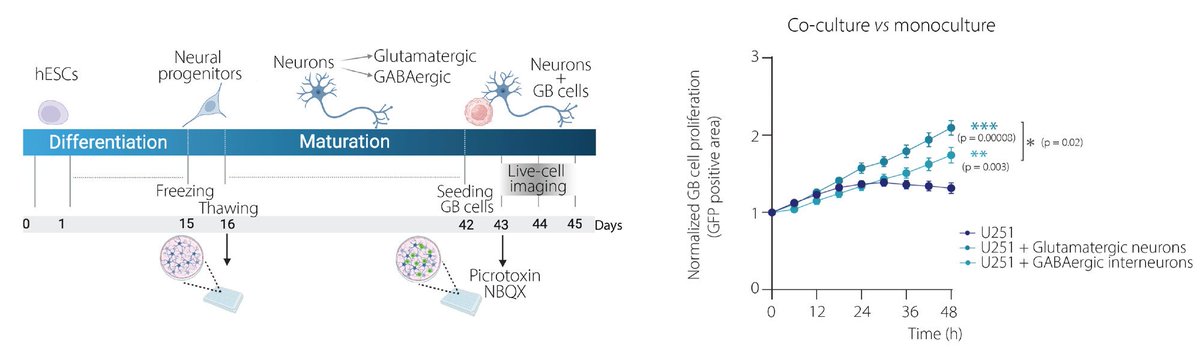 @remeseiro-lab.bsky.social tweet media