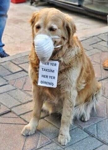 capulcy's tweet photo. HER YER TAKSİM HER YER DİRENİŞ #Gezi12Yaşında https://t.co/LyjY7Bs9TP